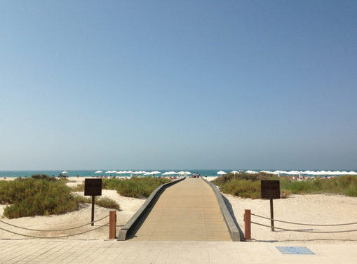 saadiyat island